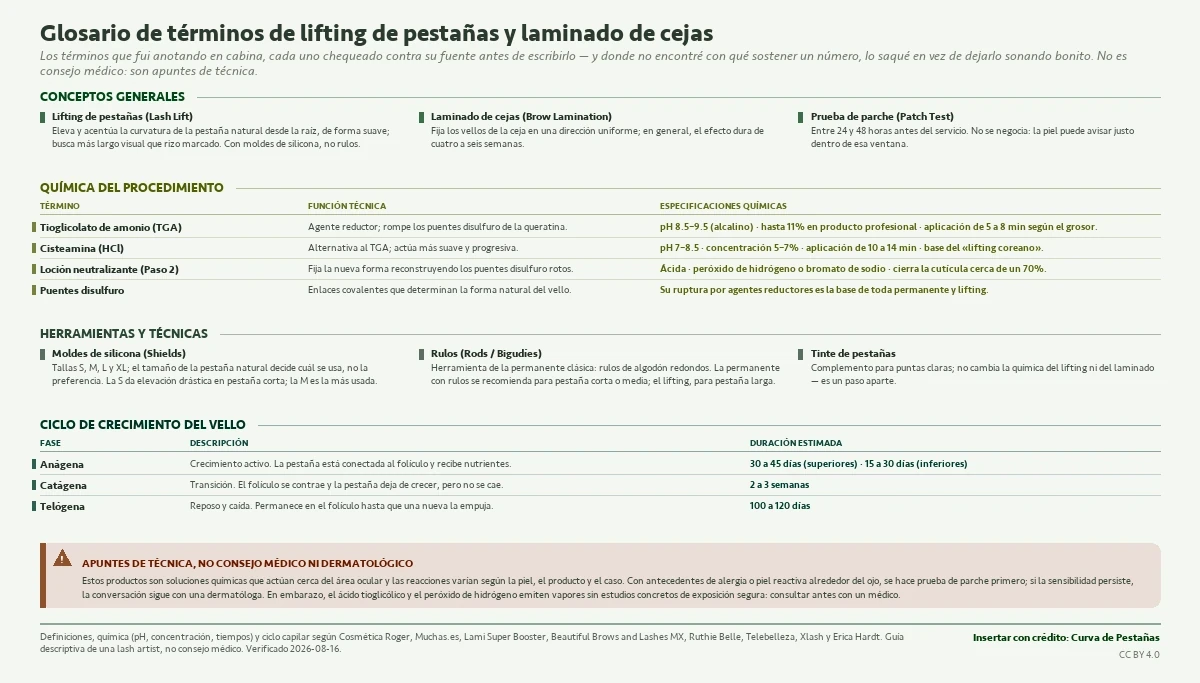 Glosario visual de términos de lifting de pestañas y laminado de cejas: conceptos generales (lifting, laminado, prueba de parche), química del procedimiento (tioglicolato de amonio pH 8.5–9.5 hasta 11%, cisteamina pH 7–8.5, loción neutralizante), herramientas y técnicas, y el ciclo de crecimiento del vello (anágena, catágena, telógena), con una franja de seguridad.